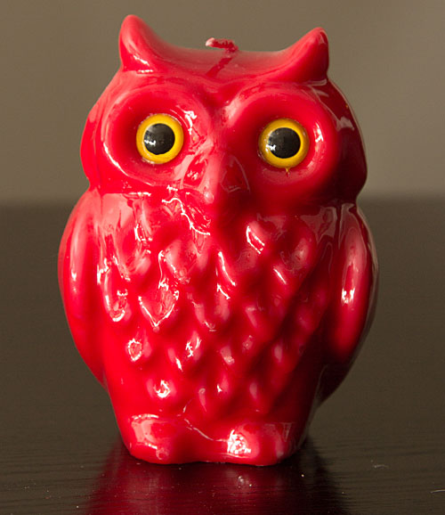 red owl 500px
